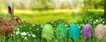 Auguri di buona Pasqua!